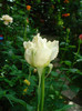 DSC02370