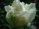 DSC02365