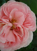 DSC02278