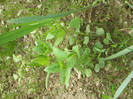 DSC02111
