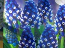 muscari