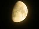 DSCN7135