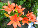 DSCN7153