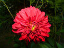 DSCN7162