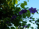 DSCN7188