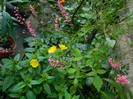 DSCN7235