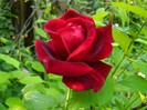 DSCN7259