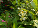 DSCN7277