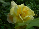 DSCN7283