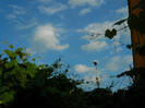 DSCN7287