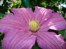 DSC01919