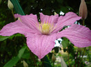 DSC02159