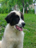 Photo0621