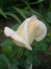 CIMG5312