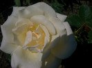 CIMG5336
