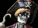 free-2010-pirate-skeleton-wallpaper_422_86153