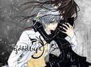 vampire-knight_422_90952