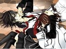 vampire-knight_422_90953