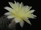 DSC01298