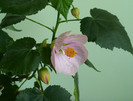 P1390531