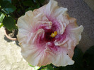 P1140128