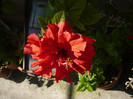 P1140136