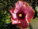 P1140144