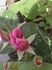 DSC01413