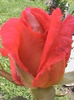 DSC01420