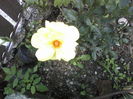 P01-06-12_14.06[1]