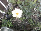 P01-06-12_14.06[2]