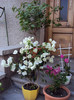 DSC05920