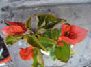 DSC05900