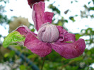 DSC02631