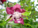 DSC02623