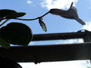 DSC03566
