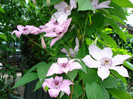 DSC02678