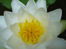 DSC02809