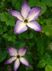 DSC02901