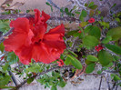 P1140184