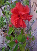 P1140185