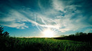 wallpaper-324499