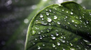 wallpaper-426692