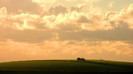 wallpaper-558655