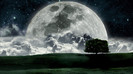 wallpaper-590331