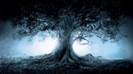 wallpaper-625864