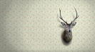 wallpaper-679827