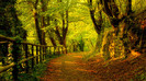 wallpaper-718149