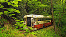 wallpaper-749780