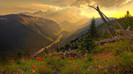wallpaper-793212
